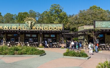 Imagem de destaque para 6 parques imperdíveis da Disney que você precisa visitar