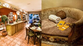 Viagens: 5 hotéis e pousadas pet friendly no Brasil 