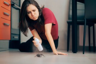 Saúde e Bem-Estar: Como espantar insetos da cozinha no verão? 4 truques infalíveis