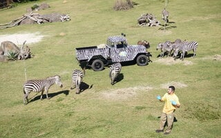 Animália Reserva