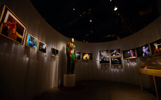 Ney Matogrosso | Museu da Imagem e do Som – MIS
