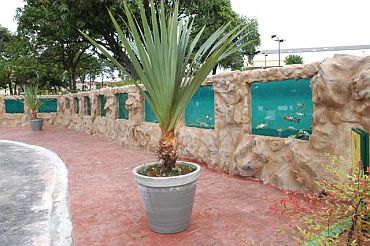 Imagem de destaque para Parque Engenheiro Salvador Arena